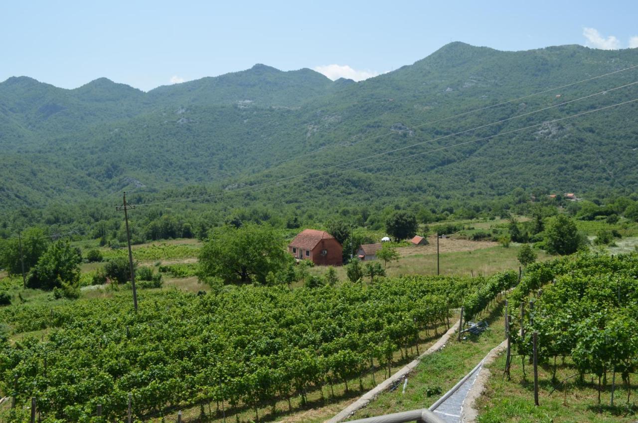 Markovic Winery And Estate Apartments Cetinje Exterior foto